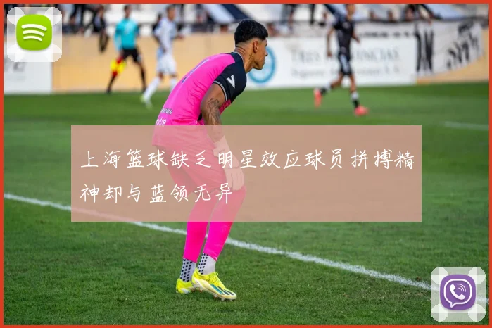上海篮球缺乏明星效应球员拼搏精神却与蓝领无异